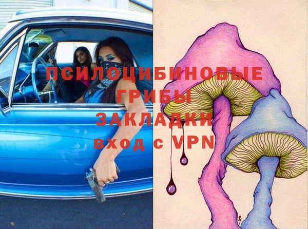 МДПВ Арсеньев