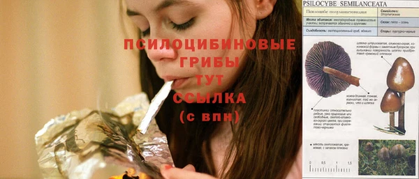 МДПВ Арсеньев