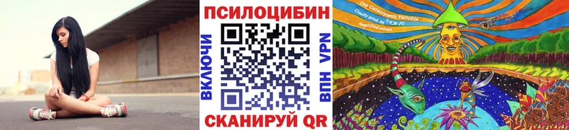 Псилоцибиновые грибы мицелий  продажа наркотиков  hydra ССЫЛКА  Калачинск 